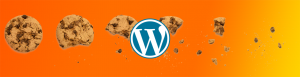 Read more about the article Welche Cookies setzt WordPress?