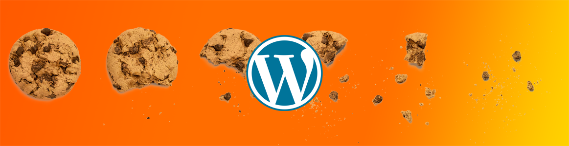 You are currently viewing Welche Cookies setzt WordPress?